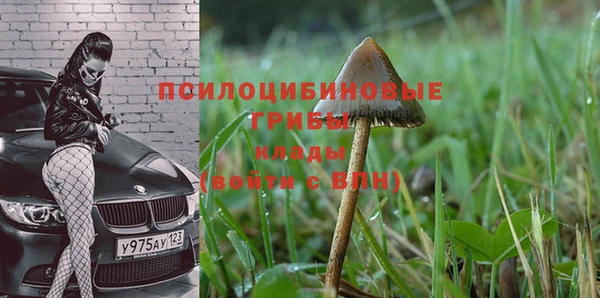 ALPHA-PVP Богородск